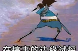 花漾试探,揭秘花漾世界的神秘面纱